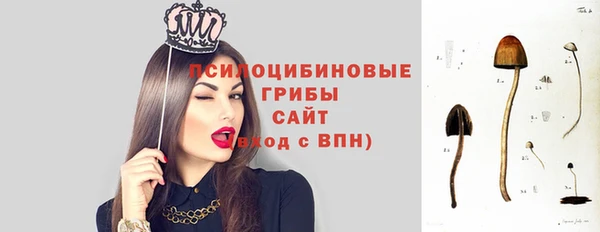 скорость Архангельск