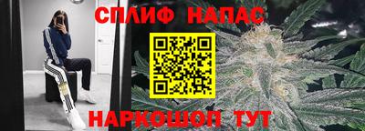 PSILOCYBIN Балаково