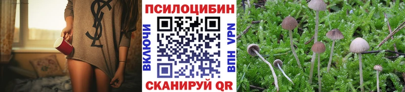Галлюциногенные грибы Psilocybine cubensis  KRAKEN ONION  Жуковский 