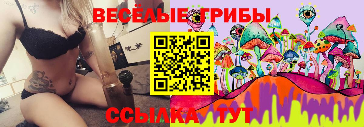 Жуковский  Галлюциногенные грибы MAGIC MUSHROOMS  Вход с VPN 