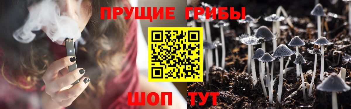 Галлюциногенные грибы MAGIC MUSHROOMS Жуковский