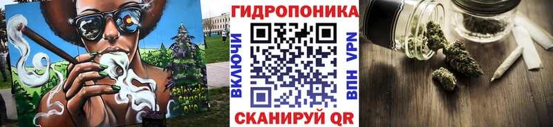 купить  сайты  Жуковский  Каннабис гибрид 